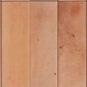 Glossy Luxury Porcelain Tile image 2