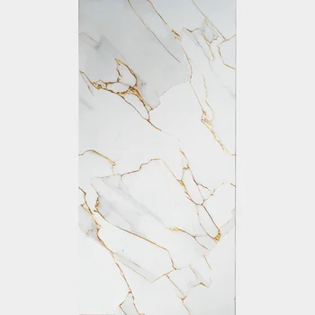 Glossy Marble Vitrified Tile image 1