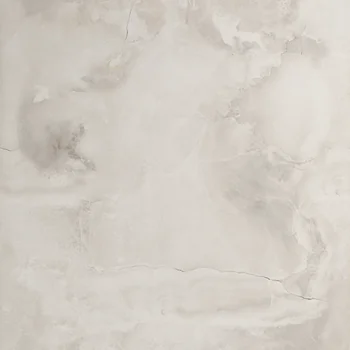 Glossy Monochrome Vitrified Tile image 2