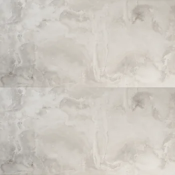 Glossy Monochrome Vitrified Tile image 1