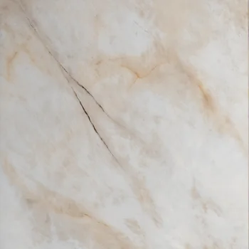 Glossy Monochrome Vitrified Tile image 2