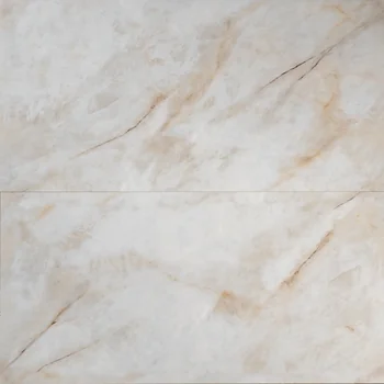 Glossy Monochrome Vitrified Tile image 1