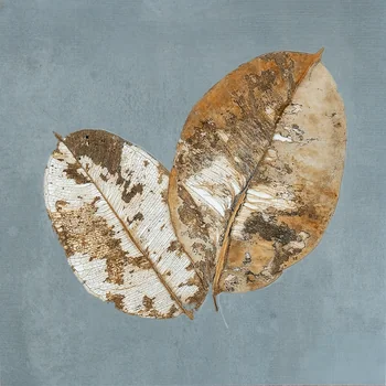 Rustic Matt Moroccan Vitrified Tile image 1