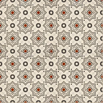 Matt Punch Moroccan Vitrified Tile image 1