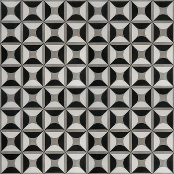 Rustic Matt Monochrome Vitrified Tile image 1