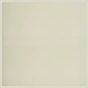 Matt Terrazzo Full Body Vitrified Tile image 1