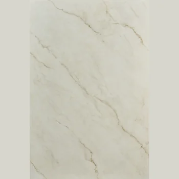 Matt Endmatch Vitrified Tile image 1