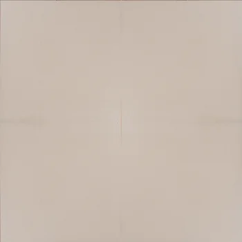 Matt Solid Colors Full Body Vitrified Tile image 1