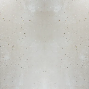 Matt Terrazzo Vitrified Tile image 1