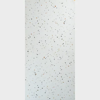 Matt Terrazzo Vitrified Tile image 1