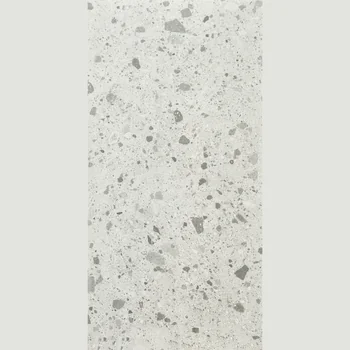 Matt Terrazzo Vitrified Tile image 1