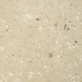 Rustic Matt Terrazzo Vitrified Tile image 2