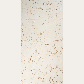 Matt Terrazzo Full Body Vitrified Tile image 1