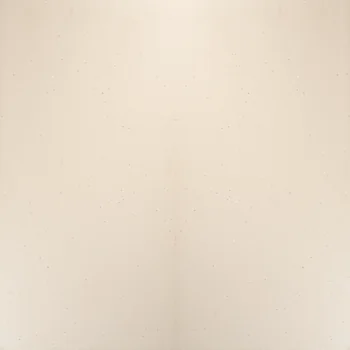 Matt Terrazzo Full Body Vitrified Tile image 1