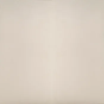 Matt Plain Vitrified Tile image 1