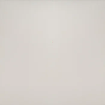 Satin Matt Plain Vitrified Tile image 1