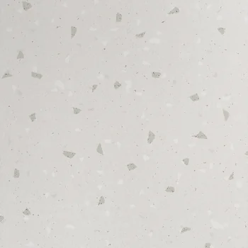 Matt Terrazzo Vitrified Tile image 2