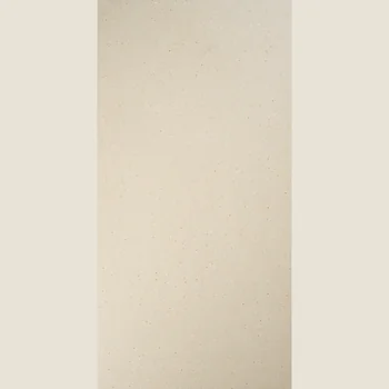 Matt Terrazzo Full Body Vitrified Tile image 1