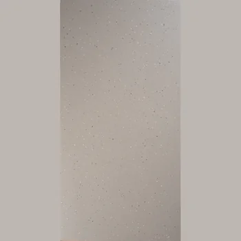 Matt Terrazzo Full Body Vitrified Tile image 1