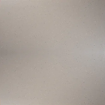 Matt Terrazzo Full Body Vitrified Tile image 2