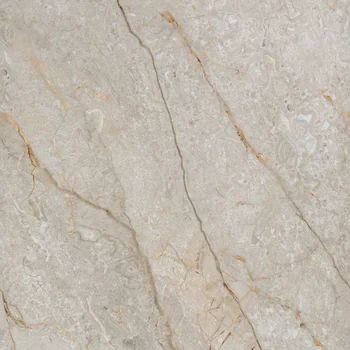 Glossy Endmatch Vitrified Tile image 2