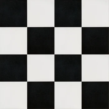 Matt Punch Monochrome Vitrified Tile image 1