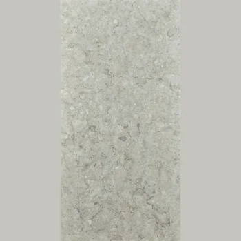 Glossy Stone Look Vitrified Tile image 1