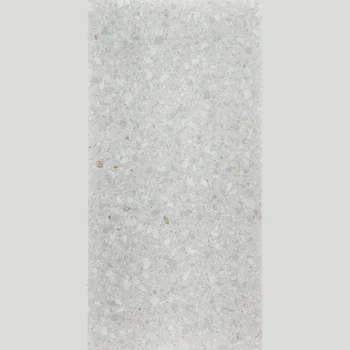 Matt Terrazzo Vitrified Tile image 1