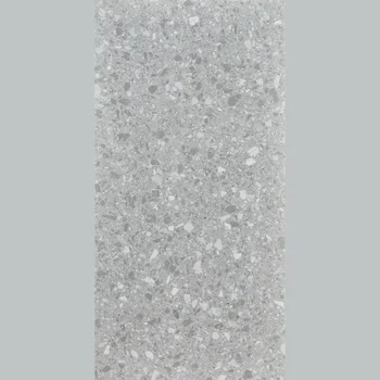 Matt Terrazzo Vitrified Tile image 1
