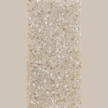 Matt Terrazzo Vitrified Tile image 1