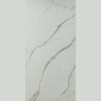 Satin Matt Marble Vitrified Tile image 1