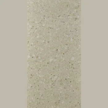 Matt Terrazzo Vitrified Tile image 1