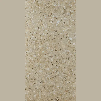 Matt Terrazzo Vitrified Tile image 1