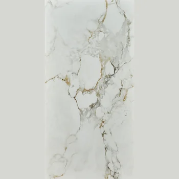 Glossy Marble Vitrified Tile image 1